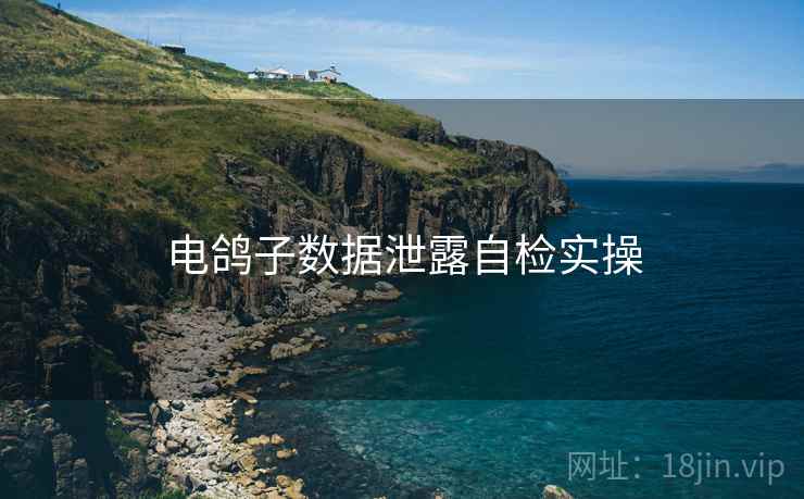 电鸽子数据泄露自检实操 电鸽子数据泄露自检实操
