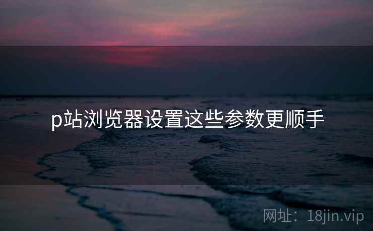 p站浏览器设置这些参数更顺手 p站浏览器设置这些参数更顺手