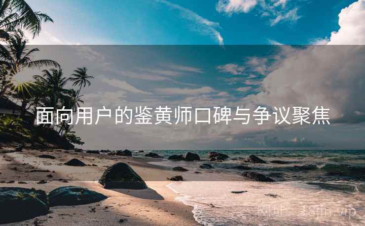 面向用户的鉴黄师口碑与争议聚焦 面向用户的鉴黄师口碑与争议聚焦