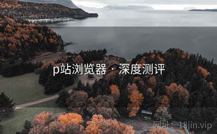 p站浏览器 · 深度测评 p站浏览器 · 深度测评