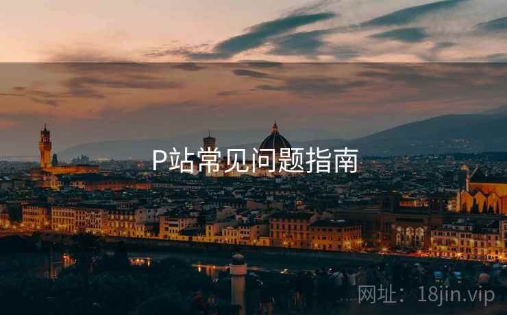 P站常见问题指南