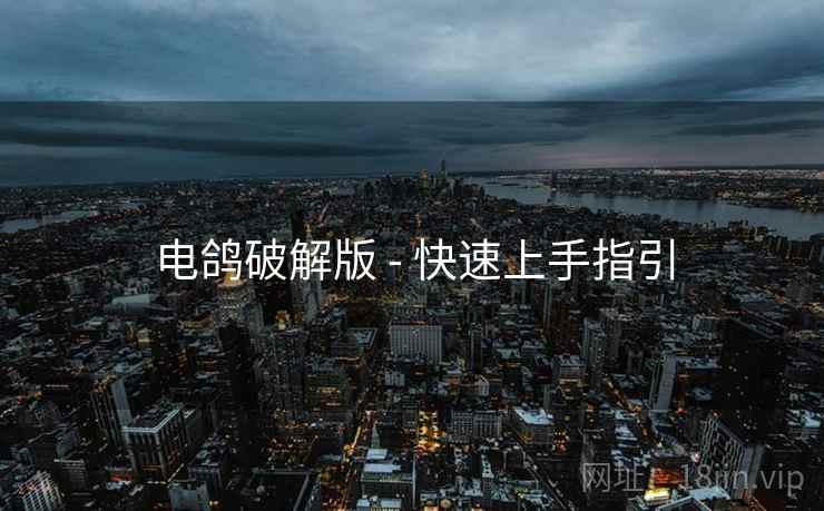 电鸽破解版 - 快速上手指引