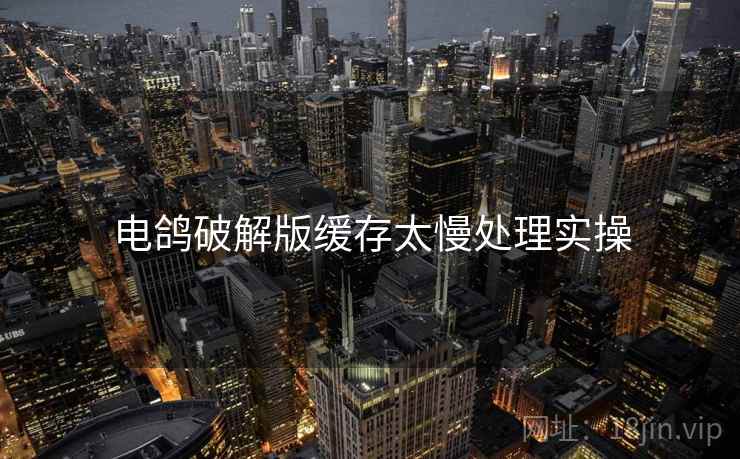 电鸽破解版缓存太慢处理实操