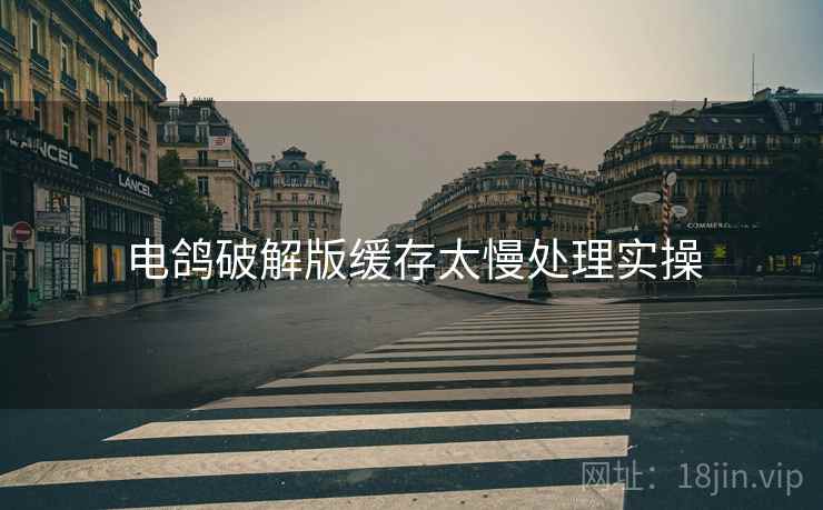 电鸽破解版缓存太慢处理实操 电鸽破解版缓存太慢处理实操