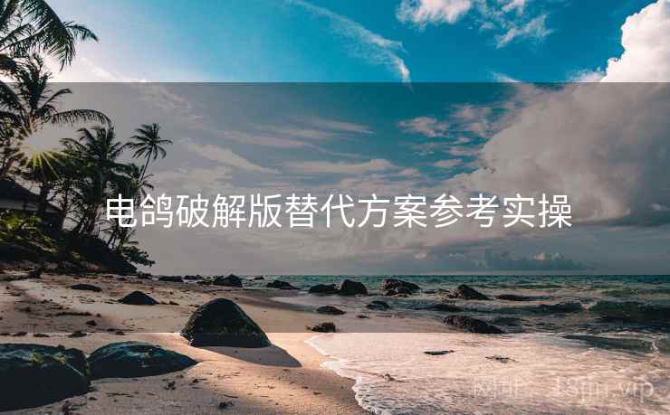 电鸽破解版替代方案参考实操