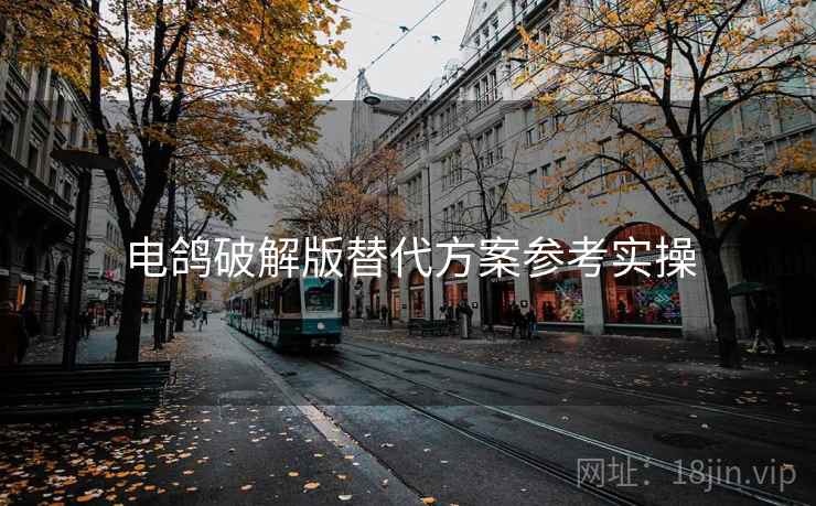 电鸽破解版替代方案参考实操 电鸽破解版替代方案参考实操