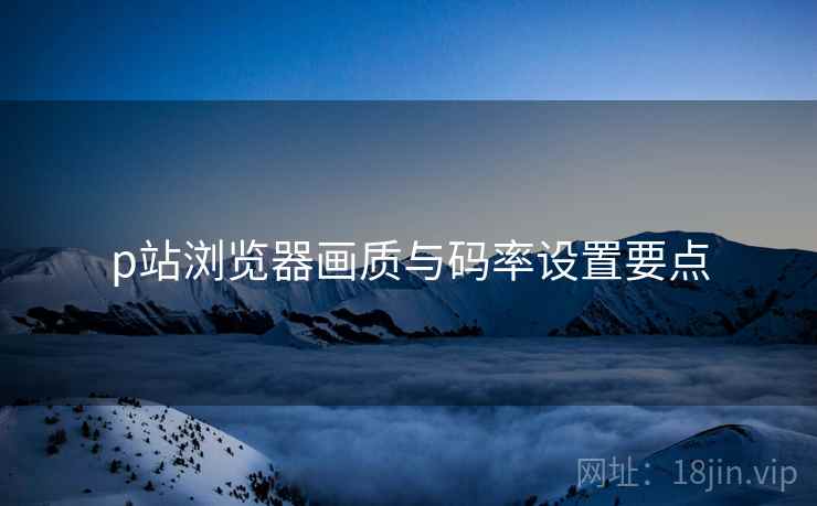 p站浏览器画质与码率设置要点 p站浏览器画质与码率设置要点