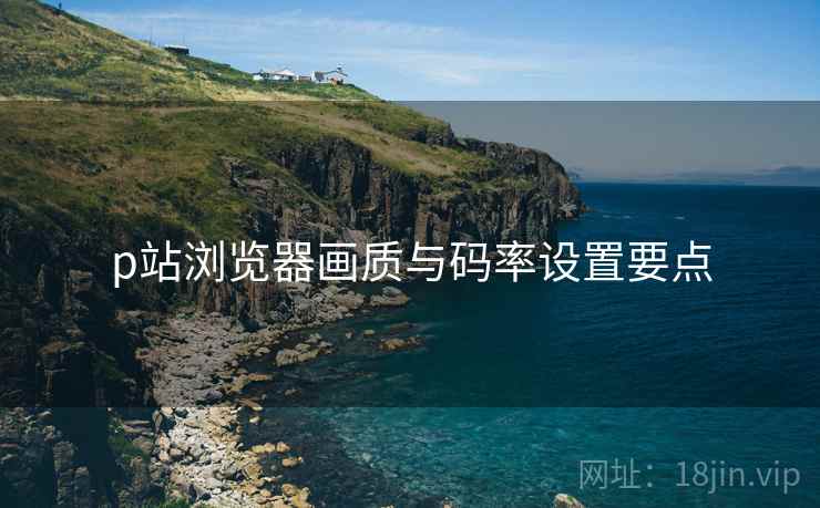 p站浏览器画质与码率设置要点