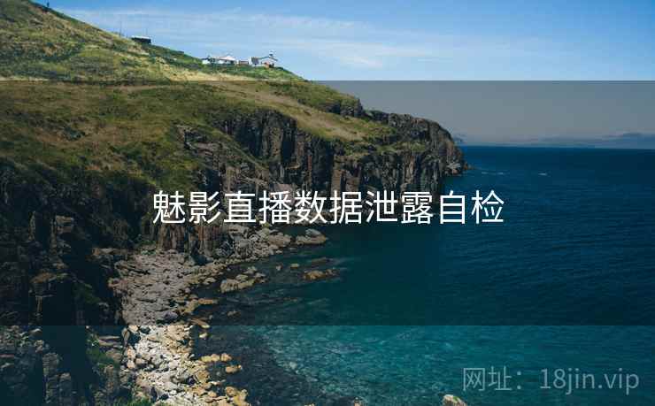 魅影直播数据泄露自检