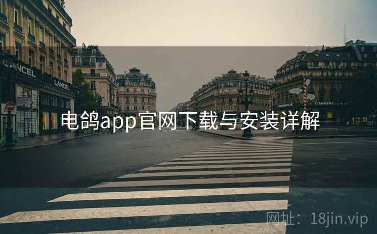 电鸽app官网下载与安装详解 电鸽app官网下载与安装详解